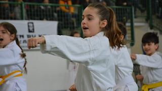 SCUOLA KARATE CASTELFRANCO