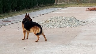 Rifugio del Cane "Val di Maso" di Merlara