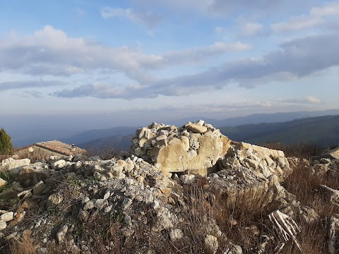 Andare A Canossa Di Bernabei Mario