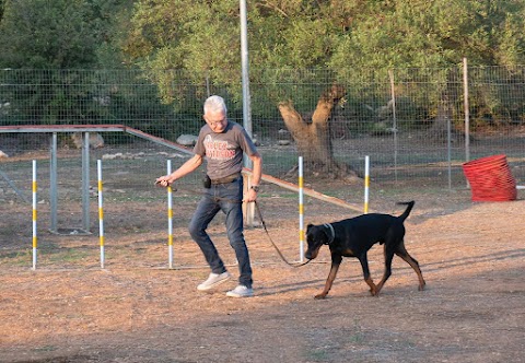 Centro Cinofilo "Malpelo" - Pensione Cani Addestramento Agility Dog