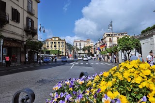 Hotel Sorrento City