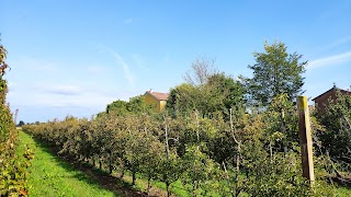 Agriturismo la Rasdora - Dormire a Mantova