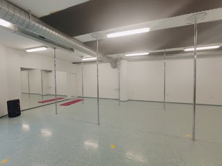 Pole Movement studio