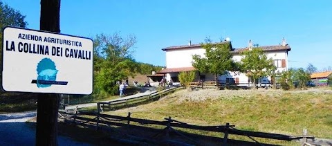 La Collina dei cavalli