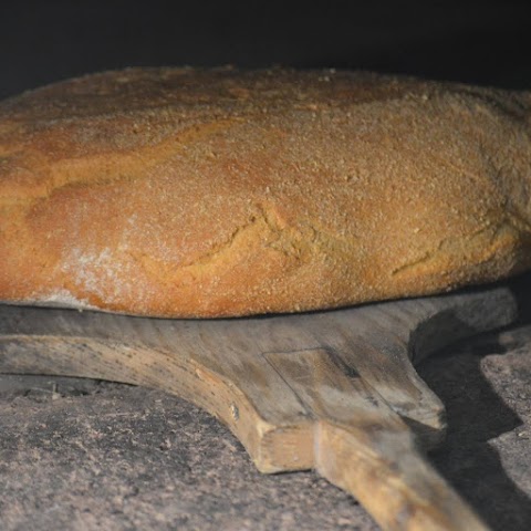 La Collina del Pane az. ag. Scuderi