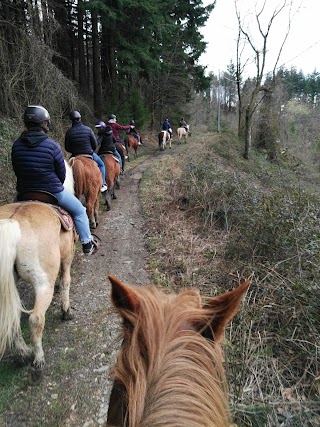 I Cavalli del Vento - passeggiate a cavallo