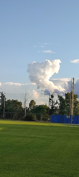 Centro Universitario Sportivo