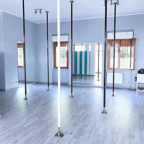 MSM Pole Dance Studio ASD