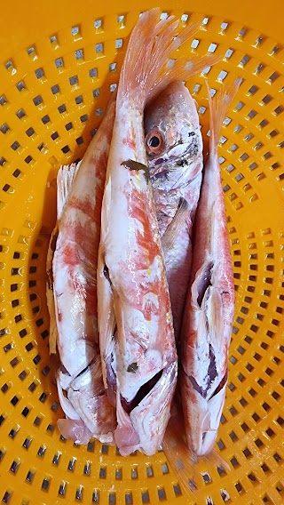 Mercatino del pesce