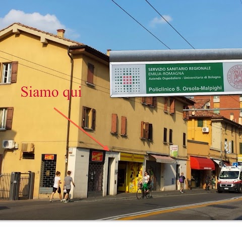 Affittacamere per Studenti Bologna zona Sant'Orsola Università