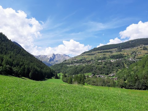 Associazione Maestri di Sci Gran San Bernardo