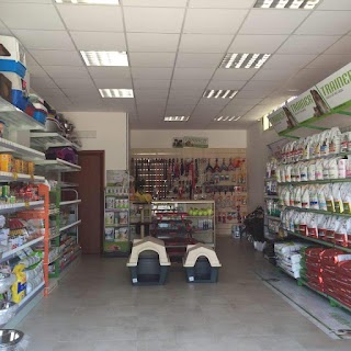 Pet Shop Argo