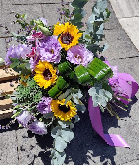 LA PRIMAVERA FIORI E PIANTE Viterbo