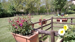 Fattoria di animazione ambientale L'Asino dell'Ariosto