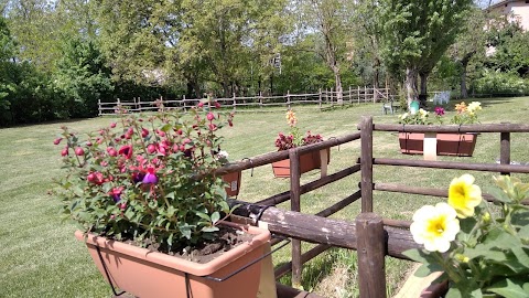 Fattoria di animazione ambientale L'Asino dell'Ariosto