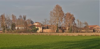 Bosco Del Merlino