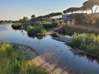 Prato vista dal fiume - Visite insolite a uno scampolo di città!