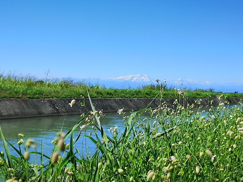 Il Cascinale