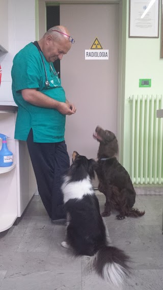 Ambulatorio Veterinario Illasi del Dr. Cesare Lerco