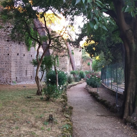 Società Ginnastica Roma