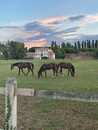 Azienda Agricola Biasuzzi S.R.L. S.U.