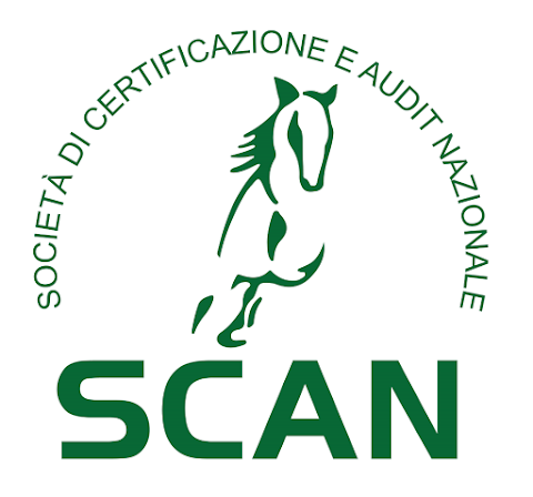 SCAN Srl - Scuola di Alta Formazione Professionale