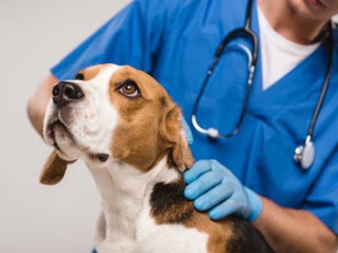 Ambulatorio Veterinario San Rocco