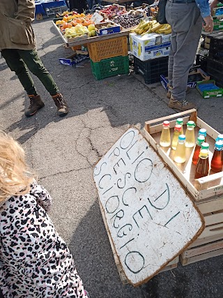 Mercato del Pesce