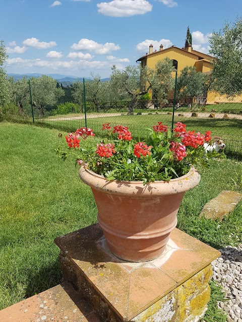 Agriturismo Il Pintello di Giulia Bellucci