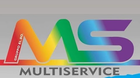 MS MULTISERVICE