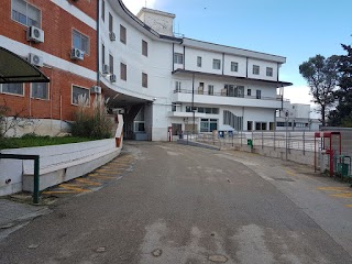 Istituto Maugeri IRCCS Bari