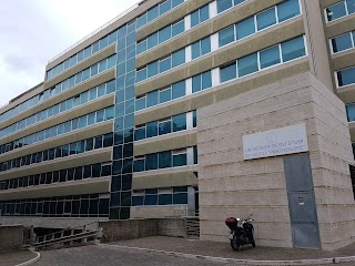 Università Degli Studi Di Napoli "Parthenope"