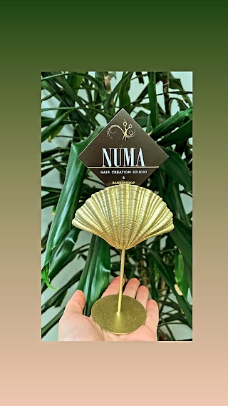 NUMA Hair Creation Studio & Barber Shop