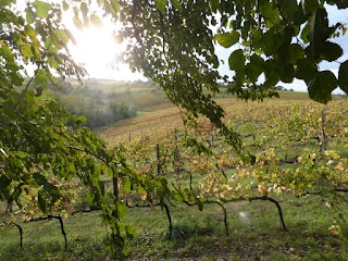 Drei Dona' - Tenuta La Palazza