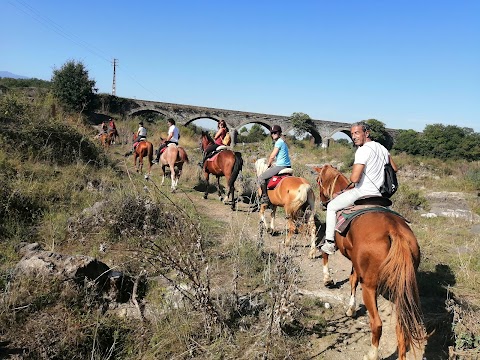 Sicily Horse Riding