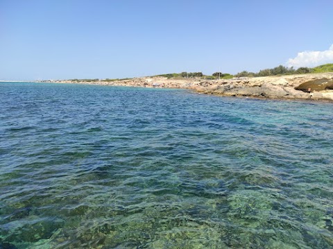 Dune di Campomarino