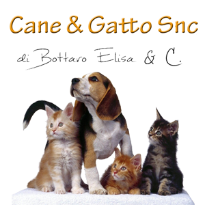 Cane e Gatto