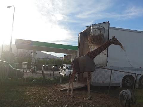 Ambulatorio Veterinario Dott. Luca Soviero