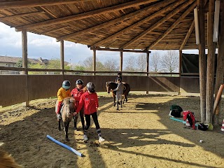 centro ippico sperone d'oro