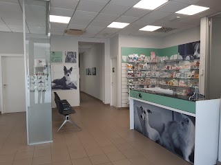 Zoolavet Ambulatorio Veterinario