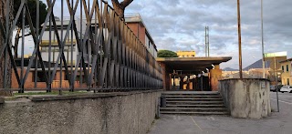 Scuola Dell’Infanzia Carlo Collodi