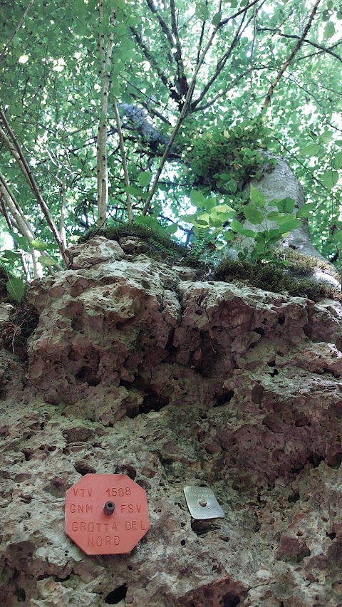 Grotta del Nord e Grotta del Sasso