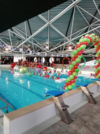 Centro Nuoto Valdarno SSD a RL