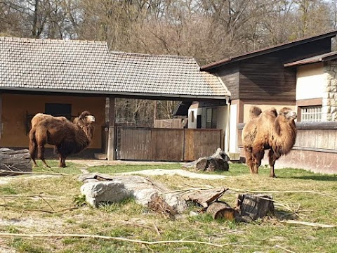 parco zoologico di Zagreb