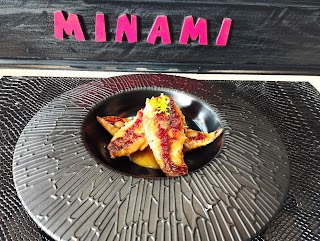 Minami Milano