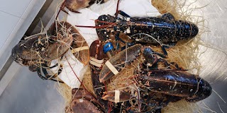 Pescheria Punto Mare di Rocco Ferrigno