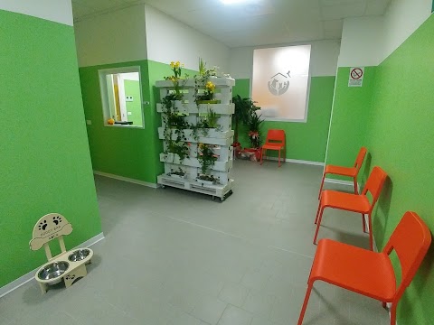 Clinica Veterinaria ARCA