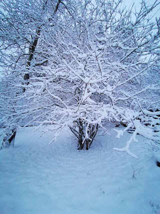 Lo chalet nel bosco