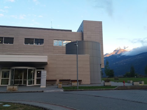 Istituto Clinico Valle d'Aosta