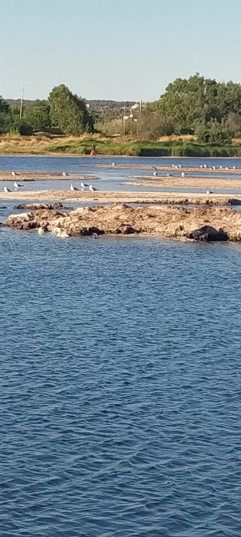 Coste del Sud Case Vacanza Salento